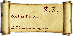 Kosina Karola névjegykártya